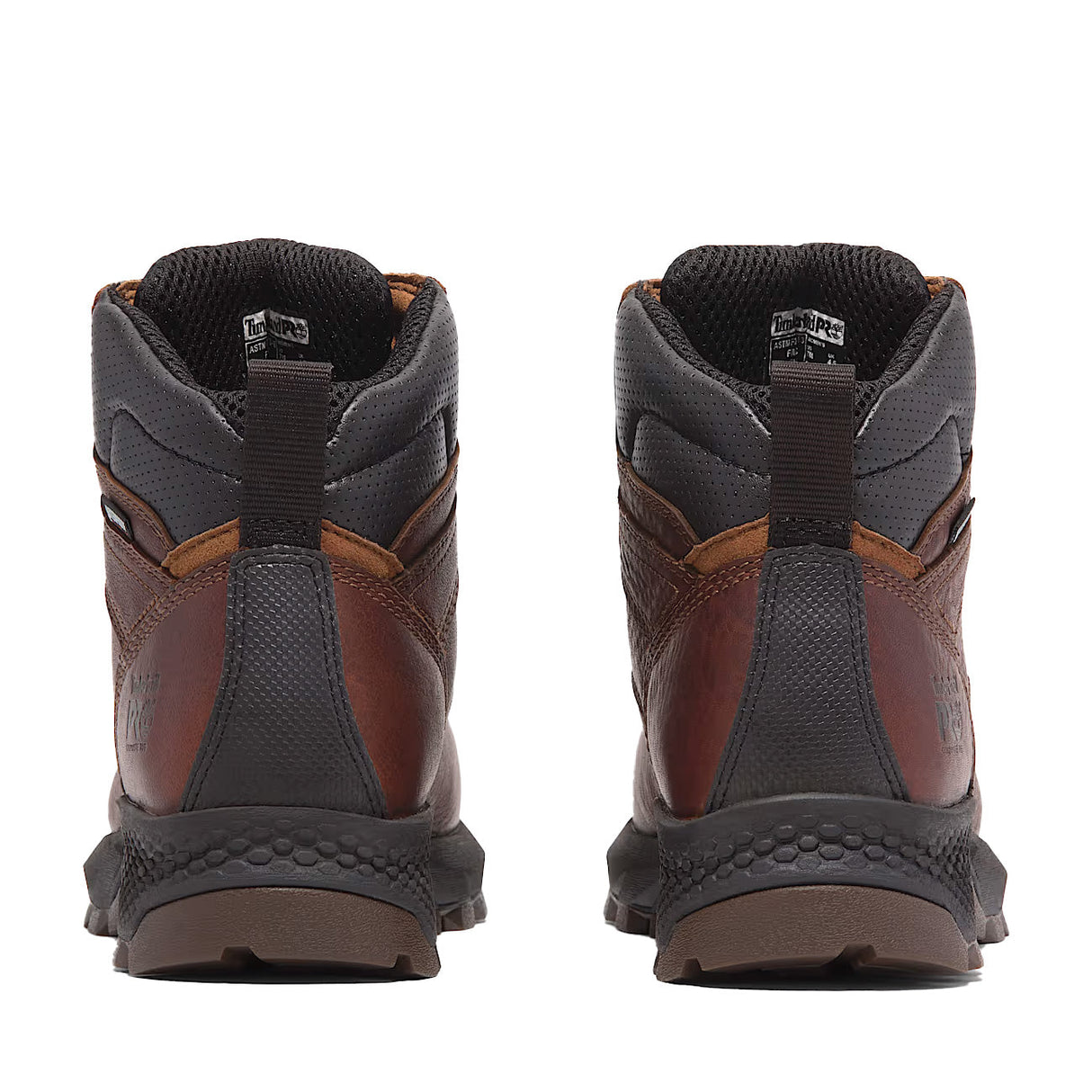 Women's 6” Titan EV Comp Toe